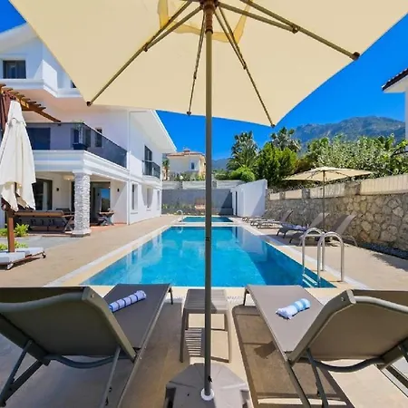 Oludeniz Luxury With Two Pools Villa *