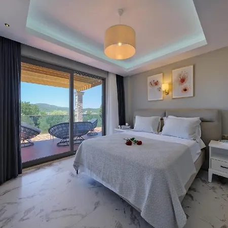 ヴィラ Oludeniz Luxury With Two Pools フェティエ