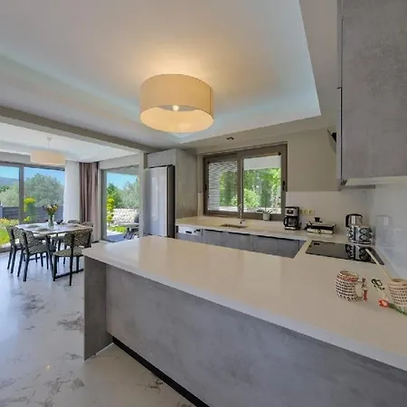 ヴィラ Oludeniz Luxury With Two Pools *